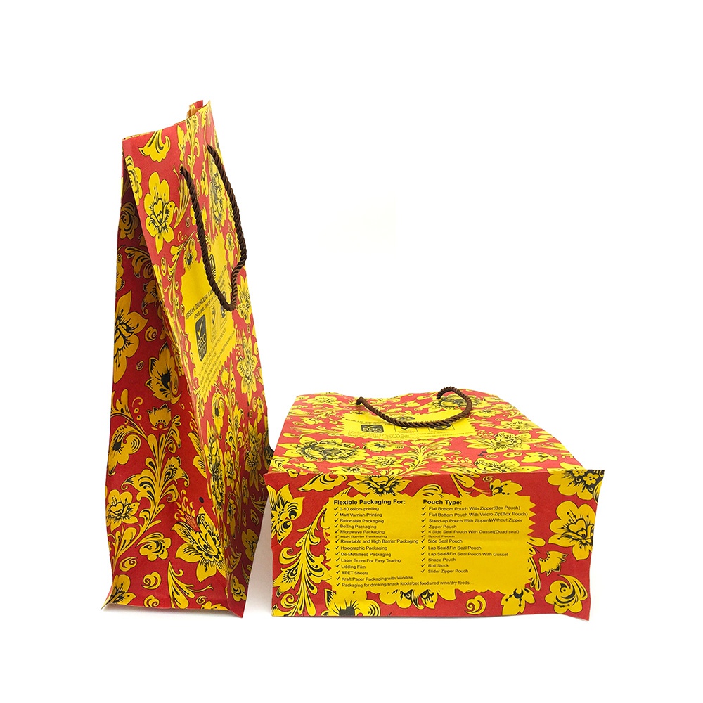 Customized Pattern Kraft Paper Gift Bag with Handle